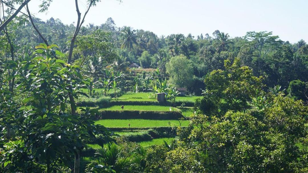 Tetebatu Fullmoon Hotel Bagian luar foto