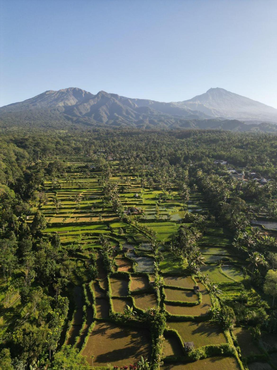 Tetebatu Fullmoon Hotel Bagian luar foto